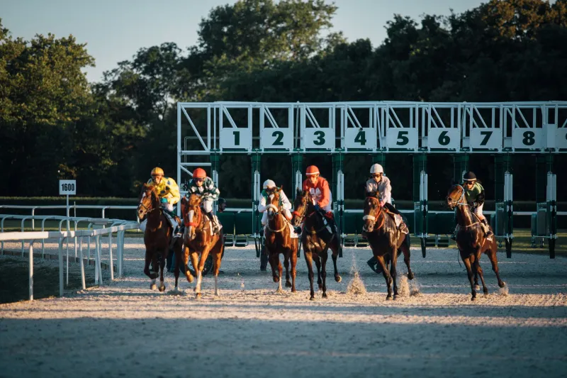 Horse Thieves and Hundredths of a Second: The Gambling Debt Behind Every Race Clock
